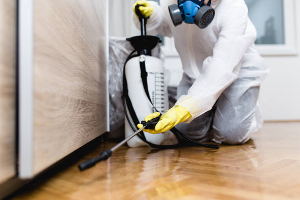 Best Affordable Pest Control Services  in Briggs, OK