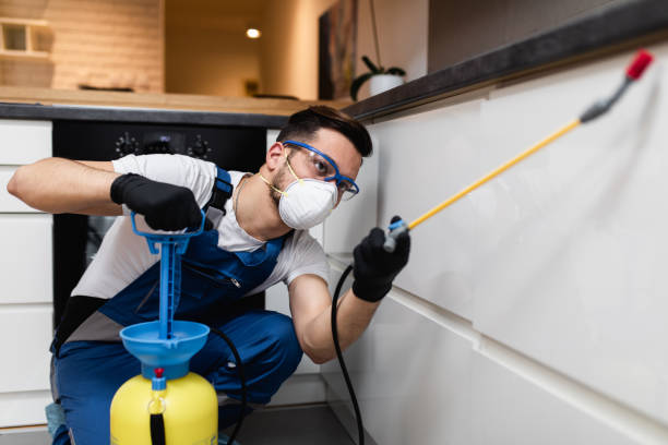 Best Best Pest Control Near Me  in Briggs, OK