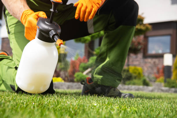 Professional Pest Control in Briggs, OK