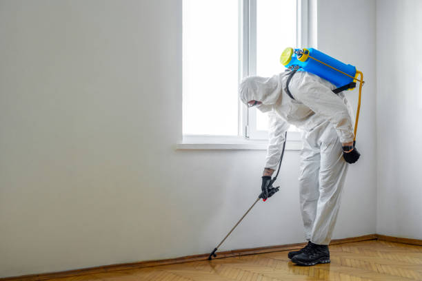 Best Wildlife Control Services  in Briggs, OK